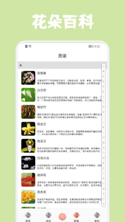 识花帮截图3
