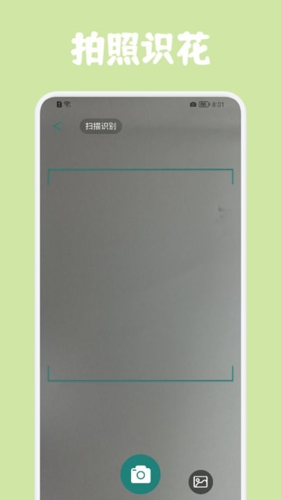 识花帮截图1