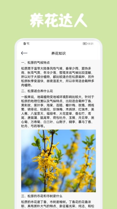 识花帮截图2